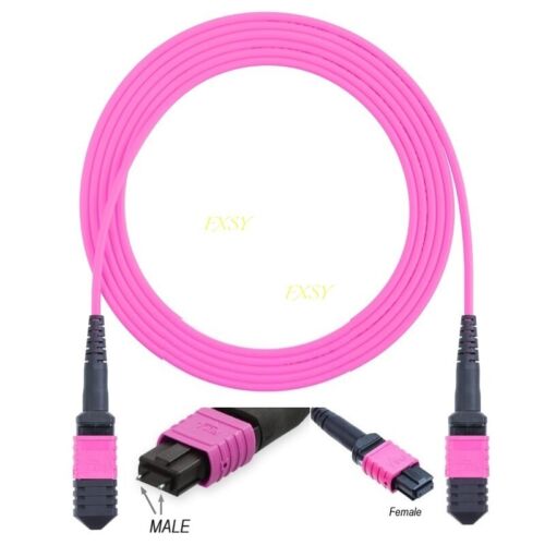 3m MPO Male To MPO Female 12 Fibers OM4 Type A Trunk Cable for Cloud Datacenter