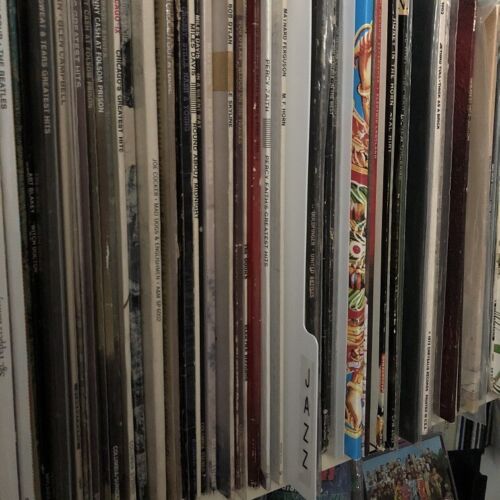 White Record Dividers for 12″ Vinyl Record Collections  15 | 20 | 25