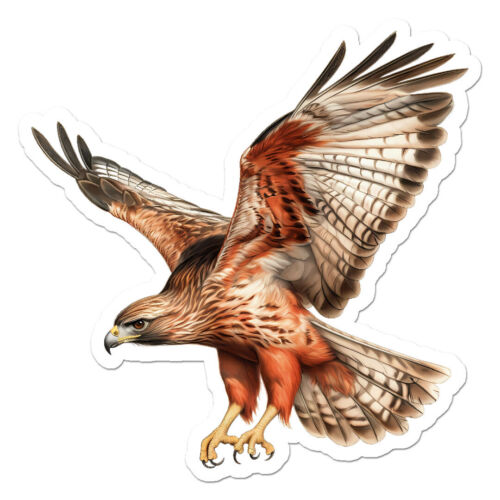 Hawk Falcon Merlin Vinyl Decal Sticker – ebn11175