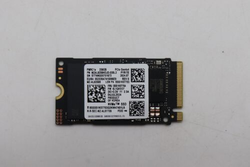 5SS1K57704 SSD SAM PM9C1a 256G 2242 PCIe G4V x4