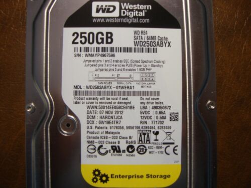 Western Digital WD2503ABYX-01WERA1 DCM:HARCNTJCA 250gb 3.5″ Sata HDD