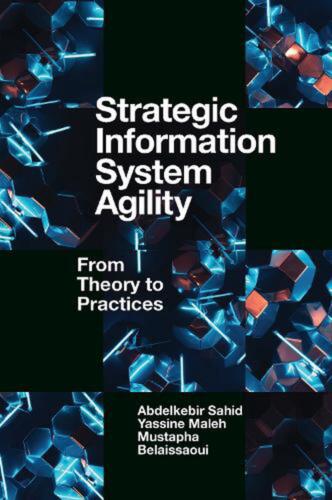 Strategic Information System Agility: From Theory to Practices by Abdelkebir Sah