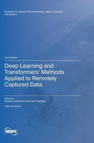 Deep Learning and Transformers’ Methods Applied to Remotely Captured Data by Mou