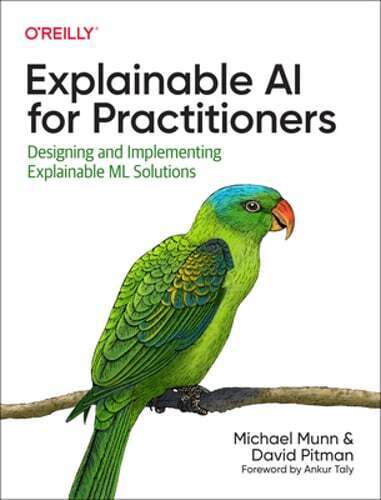 Explainable AI for Practitioners: Designing and Implementing Explainable ML: New