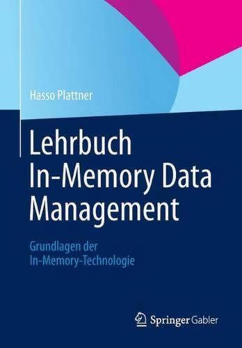 Lehrbuch In-Memory Data Management: Grundlagen der In-Memory-Technologie by Hass