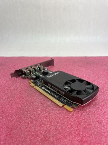 PNY Nvidia P600 PCIe Graphics Card 4x Mini DP