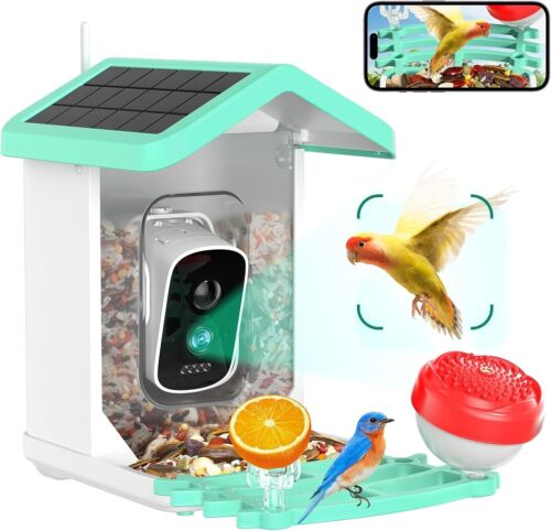 Bird Feeder with Camera, Smart AI Identify Bird Buddy Species, Smart Blue 1