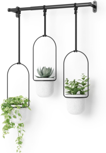 Umbra Triflora Hanging Planter for Window, Indoor Herb Garden, Set of 3