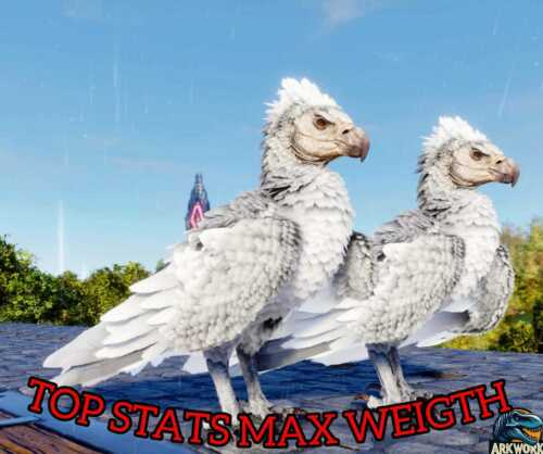 ARK Survival Ascended Argentavis Solid White TOP STATS PVE PS5/XBOX/PC