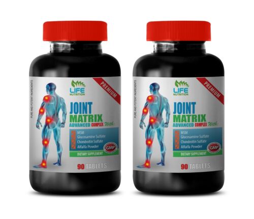 joint ease glucosamine chondroitin – JOINT MATRIX – msm capsules 2 Bottles