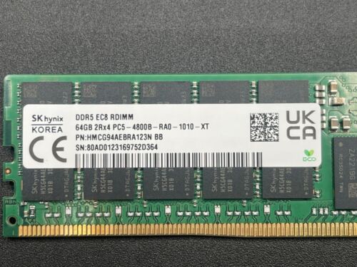 HMCG94AEBRA123N SK HYNIX 64GB (1x64GB) 2RX4 PC5-4800B ECC RDIMM Server Memory