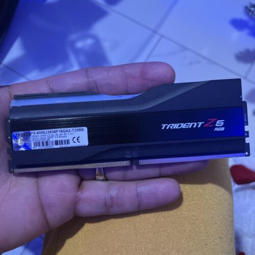 G.SKILL Trident Z5 RGB Series DDR5-600 16GBx2 intel XMP 3.0  F5-600J3636F16GA2