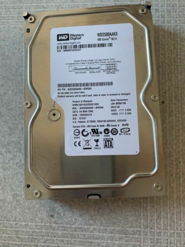 Western Digital Caviar SE 250 GB Internal 7200 RPM 3.5″ Hard Drive -WD2500AAJS