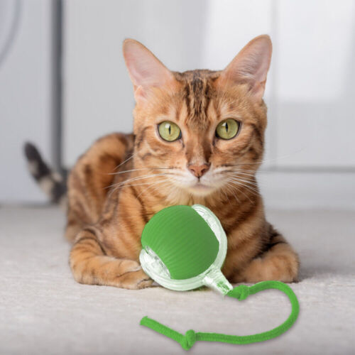 Automatic Rolling Ball Smart Cat Dog Toy Electric Pet Self-moving Kitten Game US