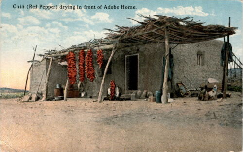 NEW MEXICO, Adobe Home, Indians, Mexicans, Chili (Red Pepper) Postcard