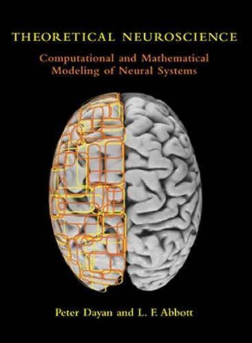 Theoretical Neuroscience: Computational And Mathematical Modeling of Neural Syst