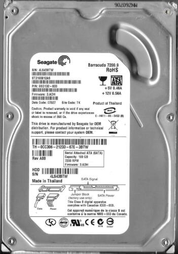 SEAGATE ST3160812AS 160GB SATA HARD DRIVE P/N: 9BD132-033  4LS  TK  FW: 3.ADH