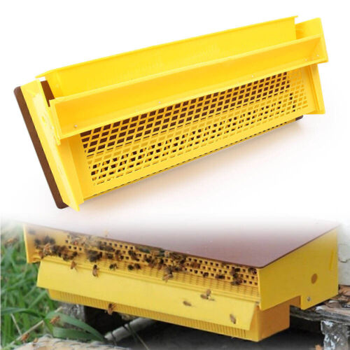 For Beekeeping Tool Beehive Bee Pollen TrapCollector Yellow 15.35*7.95*3.94″