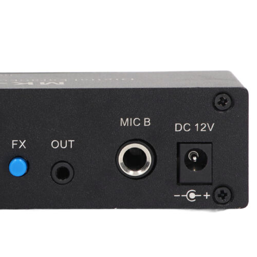 Digital Reverberator Stereo Amplifier BT5.0 Double Microphone Input DC 12V