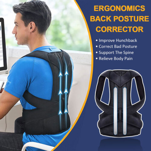 Waist Support Belt Lumbar Back Brace Heavy Work Pain Relief Corset For Men Women