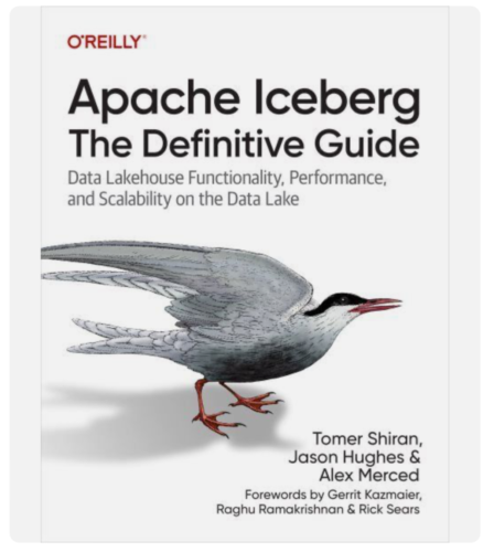 Apache Iceberg: The Definitive Guide: Data Lakehouse Functionality, Performance