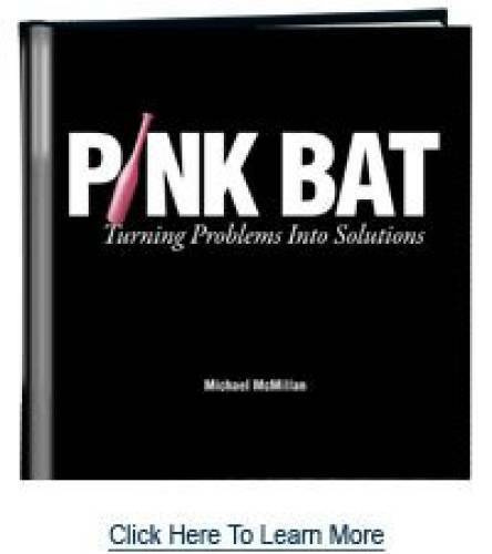 Pink Bat: Turning Problems Into Solutions – Hardcover – VERY GOOD