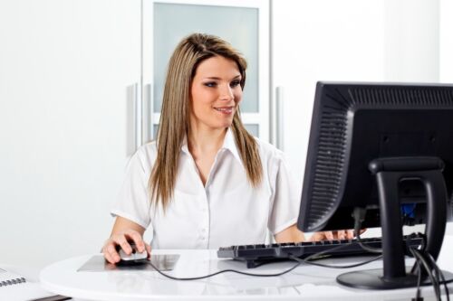 Virtual Administrative Assistant WFH Office Business Plan