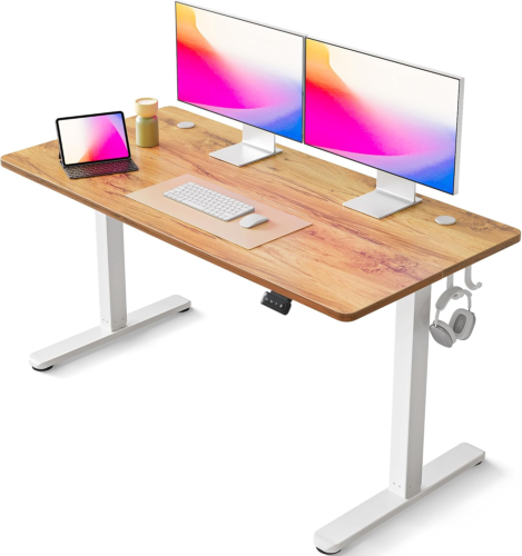 Electric Standing Desk, 55 x 24 Inches Height Adjustable Stand up Desk, Sit Stan