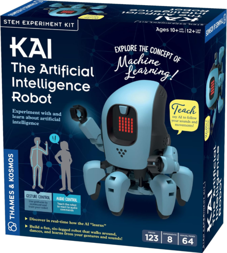 Kai: the Artificial Intelligence Robot | Explore Machine Learning | Build an Inn