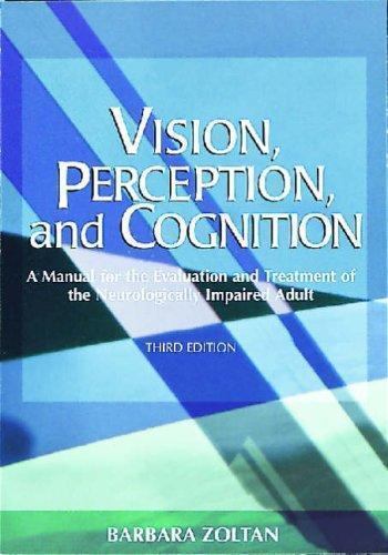 High-Level Vision: Object Recognition and Visual Cognition – Paperback – GOOD