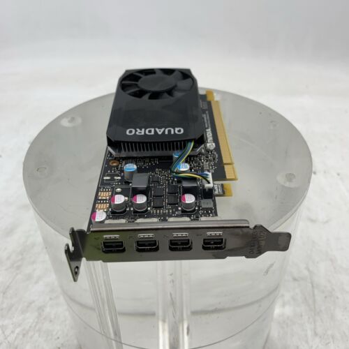 Nvidia Quadro P600 Video Card.