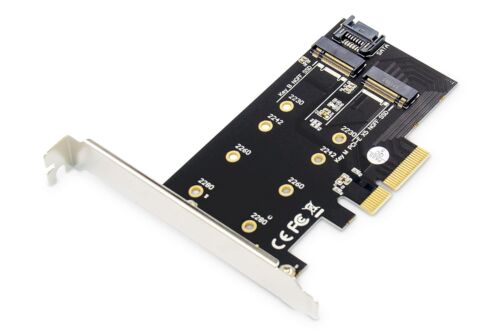 Digitus IO Card – PCIe – M.2 NGFF/NVMe Interface Card – 2-Port – M.2 (2230, 2242