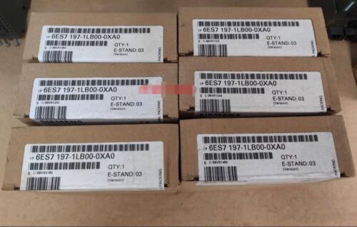 Siemens 6ES7197-1LB00-0XA0 New In Box 6ES7 197-1LB00-0XA0 Expedited Shipping 1PC