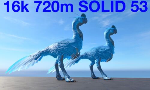 Solid 53 16k 720m Gigantoraptor Pair Ark Survival Ascended PVE ASA