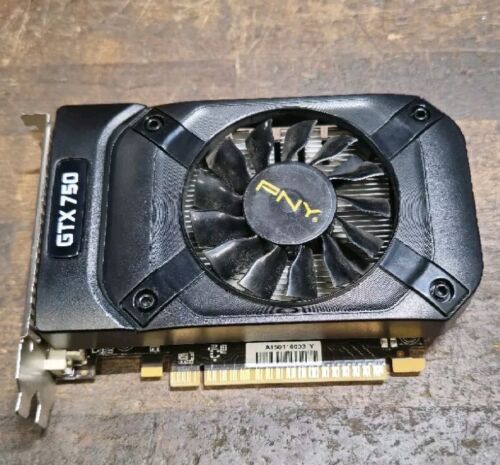 PNY GeForce GTX750 Graphics Card – VCGGTX7502XPB-BB