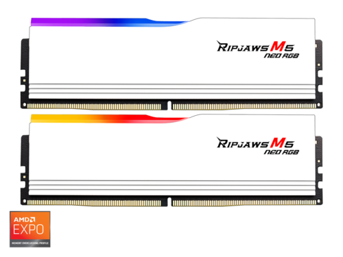 G.SKILL Ripjaws M5 RGB Series 32GB (2 x 16GB) 288-Pin PC RAM DDR5 6000 (PC5 4800