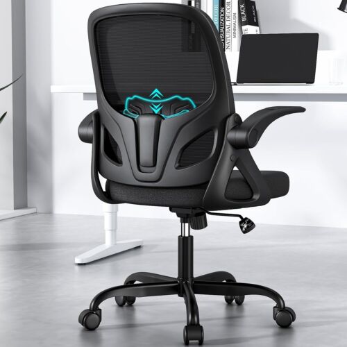 Home Desk Chair with Back Supportive Lumbar Support, Breathable K255, Black