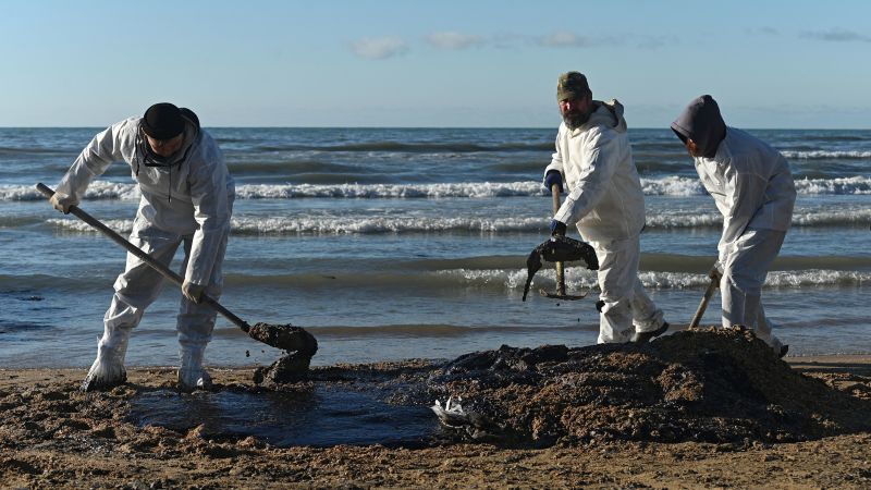 Russia: Black Sea oil spill volunteers call on Putin for more help