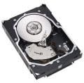 9FL066-150 Seagate 300GB 15K RPM Form Factor 3.5 Inches Hot Swap