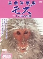 Japanese Monkey Mozu, 26 Years of Life, DVD Nature Series, Wild Kingdom (DVD)