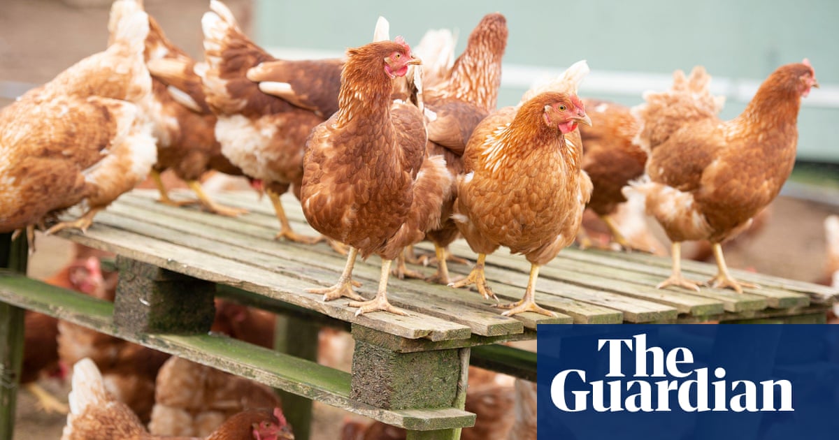 Bird flu virus shows mutations in first severe human infection in US, CDC says | Bird flu