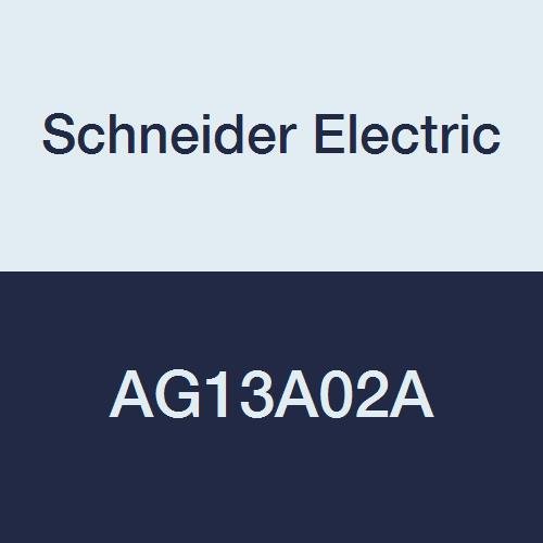 Schneider Electric AG13A02A Tac Erie Spring Return Two-Position General Close-Off Actuator with End Switch, Normally Closed