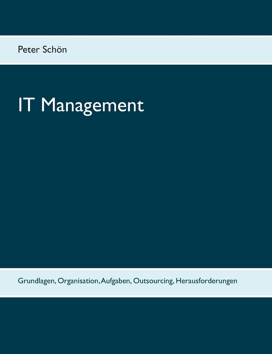 IT Management: Grundlagen, Organisation, Aufgaben, Outsourcing, Herausforderungen (German Edition)