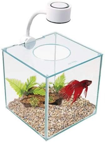 Marina CUBUS Glass Betta Kit – Elegant Glass Aquarium for Homes or Offices