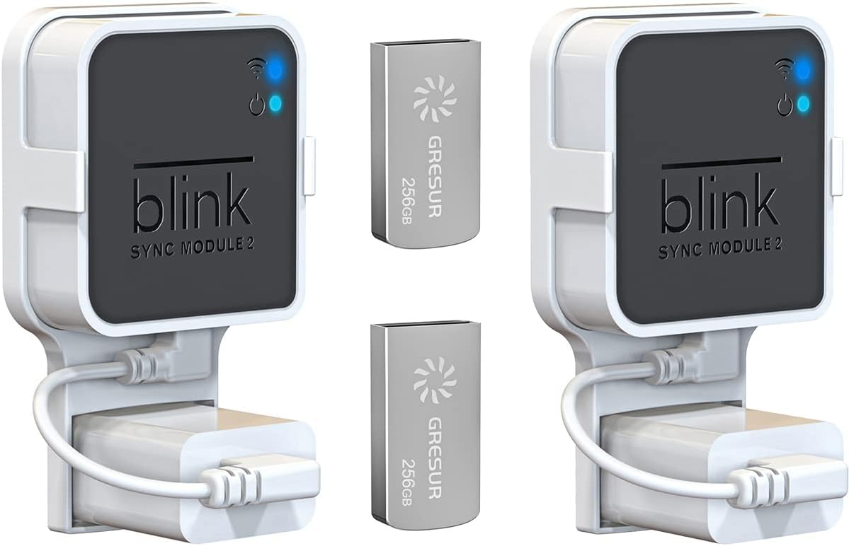 256GB Blink USB Flash Drive for Local Video Storage with The Blink Sync Module 2 Mount (Blink Add-On Sync Module 2 is NOT Included),2Pack