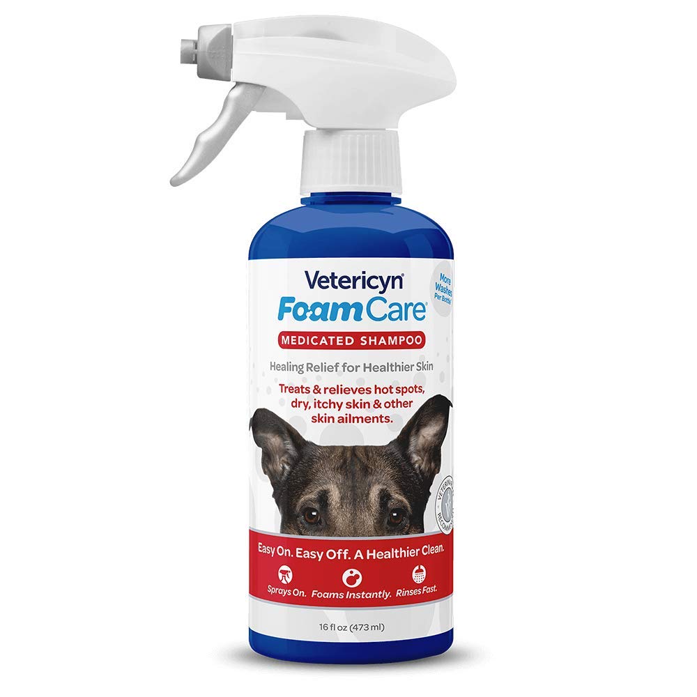 FoamCare Medicated Pet Shampoo by Vetericyn | Sensitive Skin Shampoo for Dogs, Cats, and All Animals – Anti-Itch, Promotes Healthy Skin and Coat – Hypoallergenic – Instant Foam Shampoo – 16-ounce