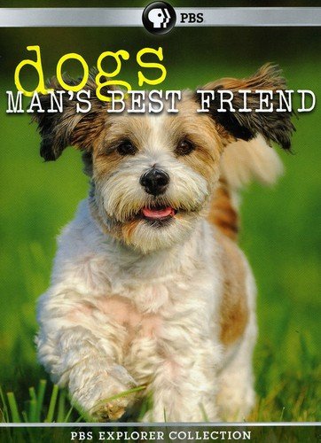 PBS Explorer Collection: Dogs: Mans Best Friend 4 Pack