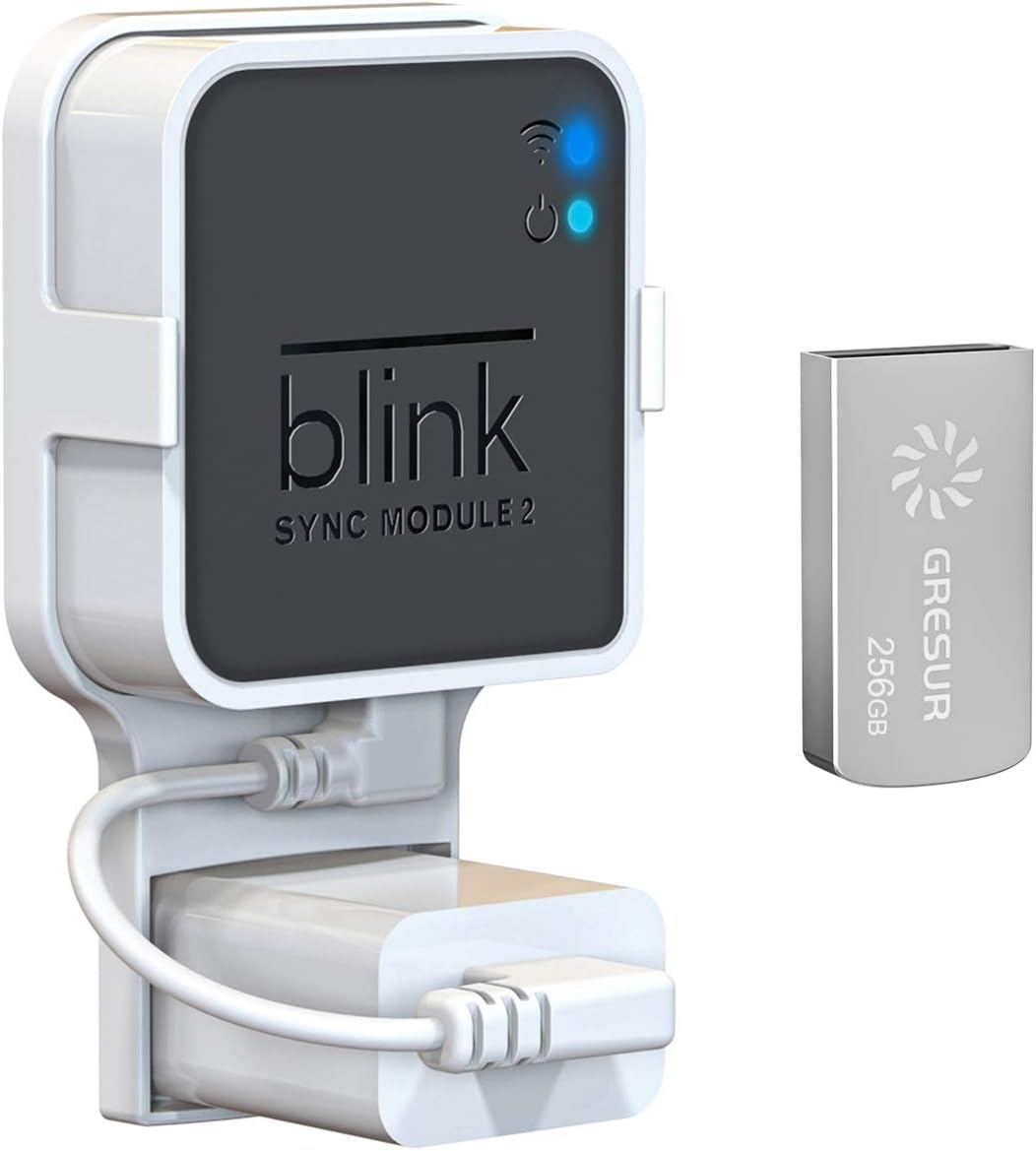 256GB USB Flash Drive for Local Video Storage with The Blink Sync Module 2 Mount (Blink Add-On Sync Module 2 is NOT Included)