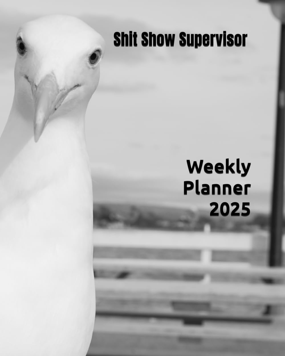 Shit Show Supervisor Weekly Planner 2025