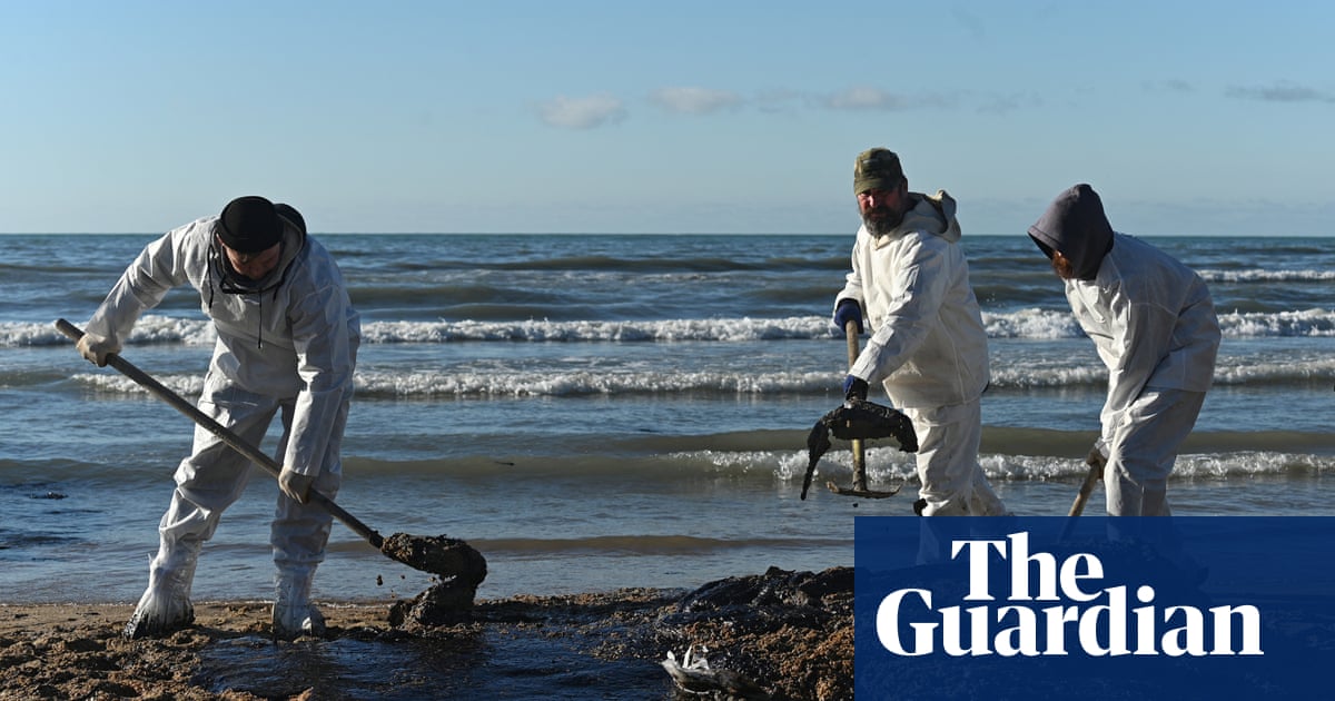 Russian scientists criticise cleanup efforts after oil spill in Black Sea | Russia